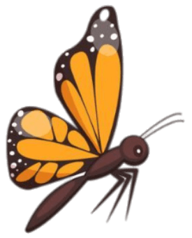 Bild von einem Schmetterling mit Orange-Schwarzen Flügeln